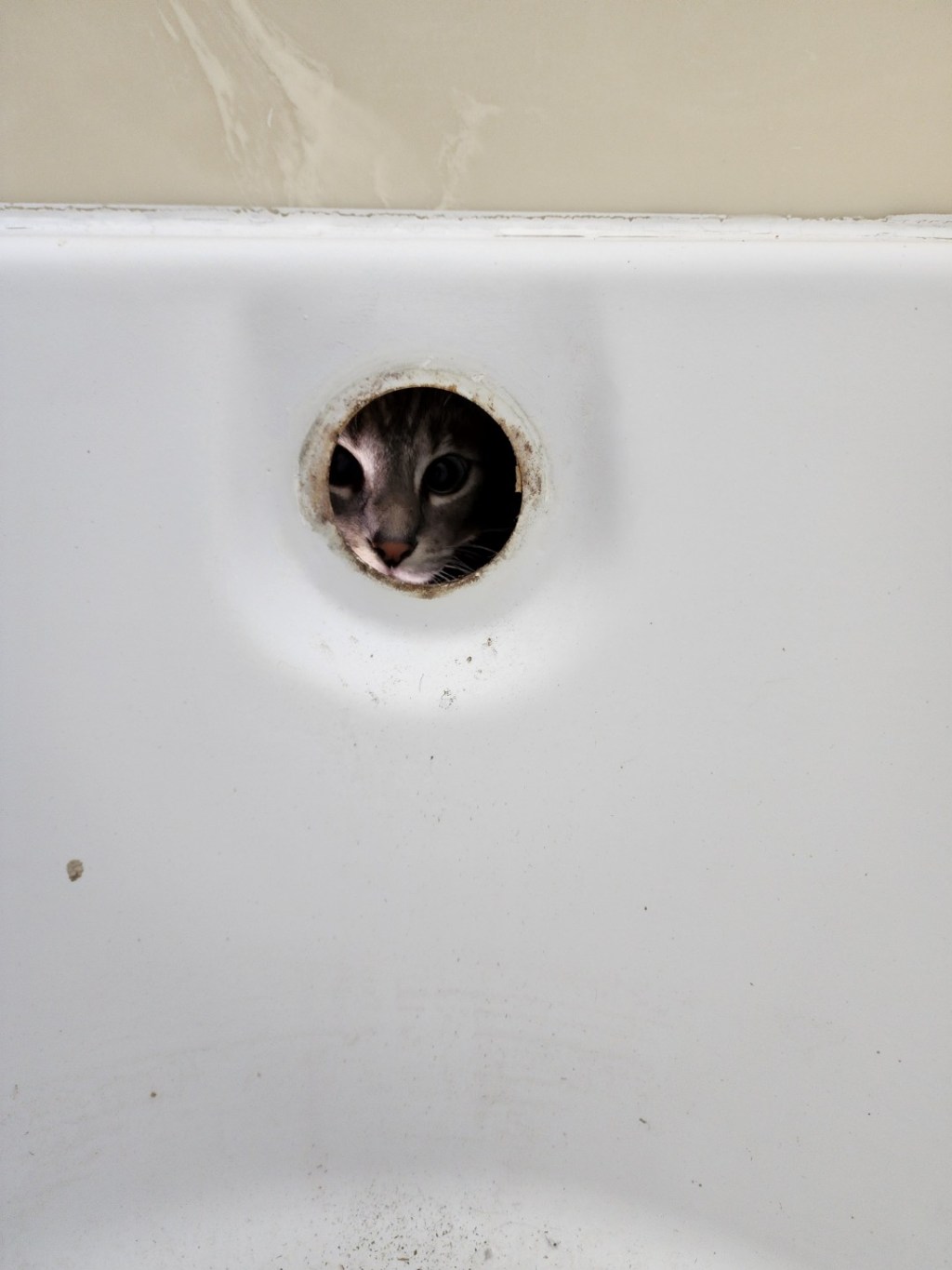 Tub Drain Flange and Overflow Replacement in Newport Beach, CA.: Ensuring a Leak-Free&nbsp;Bathroom